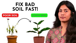 This Soil Hack Will Make Your Plants Thrive!