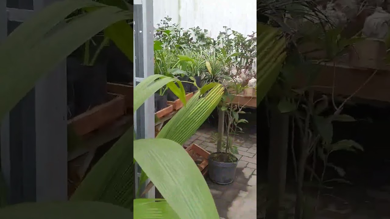 O tempo de Deus é perfeito 🙏