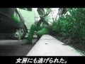ちょっと待って下さい!bySeny