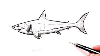 How to draw a Shark | Easy drawing