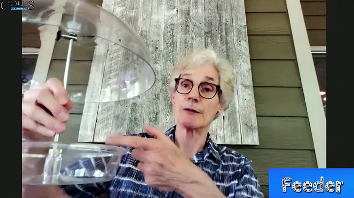 See examples and learns pros and cons of bird feeders.