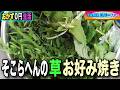 【おかず0円生活】そこら辺の草お好み焼き