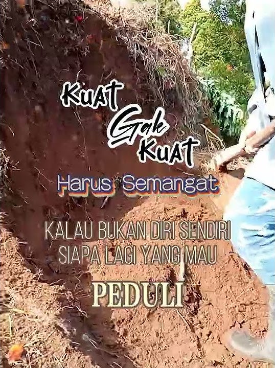 #status wa #snackvideo