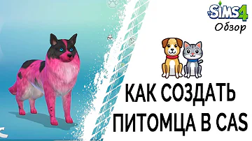 Как создать питомца в Cas в Sims 4