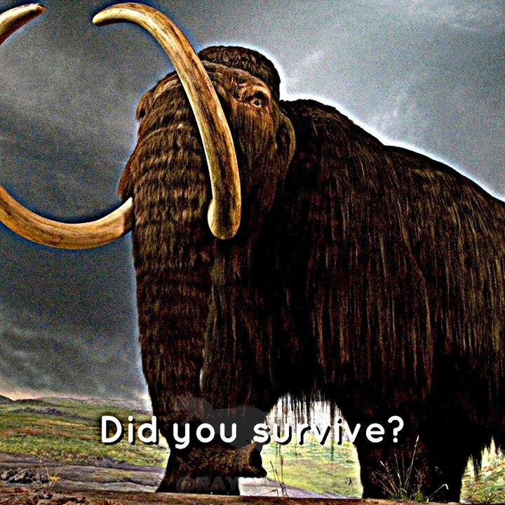 Two Animals That Lived Through Dinosaurs! #dinosaur #prehistoricworld #prehistoricanimal #coelecanth