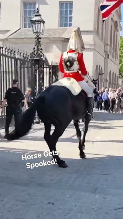 OMG! You Won't Believe This! - YouTube