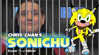 Sonichu A Look Into The Mind Of Chris Chan