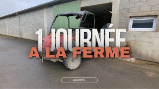 1 journée a la ferme