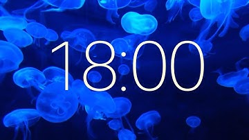 18 Minute Timer with Ambient Music and Jellifish