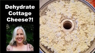 Can You Dehydrate Cottage Cheese? Let's Find Out!