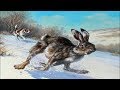 Охота на зайца.Собаки не оставляют шанса!\Hunting the hare. Dogs do not leave a chance!