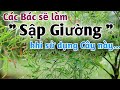 Bài thuốc trị tảo tiếc, đau nhức xương khớp, thoái hóa xương khớp. PHAN HẢI channel.