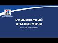 Вебинар №11 школы НЕФРОУРОВЕТ - Клинический анализ мочи. Лектор: Наталия Прокофьева