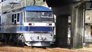 JR山陽本線　貨物列車　EF210ー313