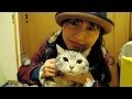 姪っ子を歓迎する猫
