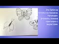 Гереева Юлия Видео-урок ИЗО 1 класс Узоры на крыльях. Бабочки.