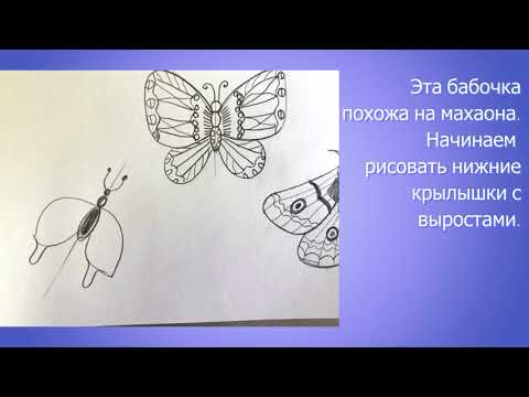 Крылья бабочки видеоурок