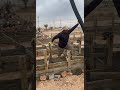 بشرى ساره الى اهلنافي النجف الاشرف ابني دارك مع مجمع بركات الحسين ع لبناء الدور السكنية النجف الاشرف بشرى ساره الى اهلنافي النجف الاشرف ابني دارك مع مجمع بركات الحسين ع لبناء الدور السكنية النجف الاشرف