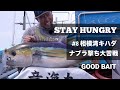 相模湾キハダ 大苦戦のナブラ撃ちにミス連発【STAY HUNGRY #8】【GOOD BAIT】