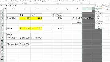 Elasticity Excel file help