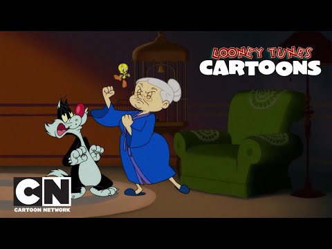 SEVİMLİ KAHRAMANLAR HİKAYELER | Boksör Büyükanne | Cartoon Network Türkiye