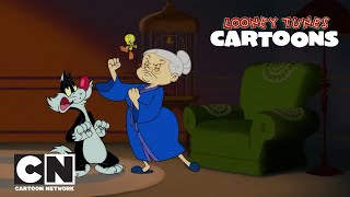 SEVİMLİ KAHRAMANLAR HİKAYELER | Boksör Büyükanne | Cartoon Network Türkiye Resimi