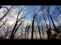 Filming ONLY With An GALAXY S10? - Shot Entirely On Samsung Galaxy S10