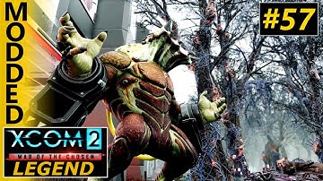 XCOM 2 WOTC Legend MODDED #57 Berserker Queen B1tch Slap Operation War Wheel