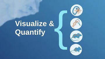 Vevo for Molecular Imaging