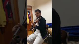 Garezi Var Keman Resimi