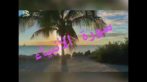 قراءة جميلة جدا سورة الأنبياء🎧 تلاوة تريح النفس👈 للقارئ حسام بدران