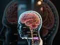 Your Nose Can Remember 50,000 Smells 😳(That’s Why Memories Hit Hard) #didyouknow #shorts #BrainFacts