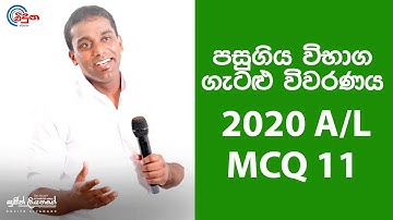 G.C.E. A/L Physics 2020 (Question 11) | භෞතික විද්‍යාව පසුගිය විභාග ගැටළු විවරණය