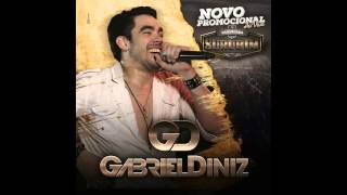 Gabriel Diniz - PROMOCIONAL  2015