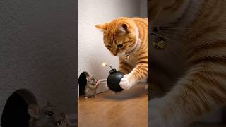 Guess The Animal Voice 🗣️#animals#facts #animalrescue #animalphotography #naturelovers #instaanimals