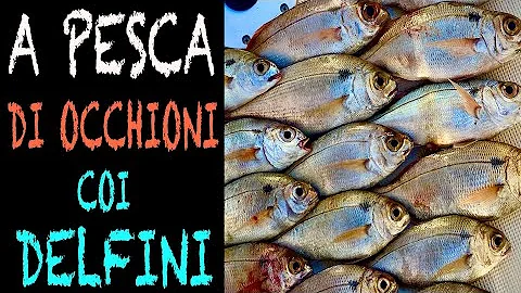 Che cosa si può pescare a bolentino?