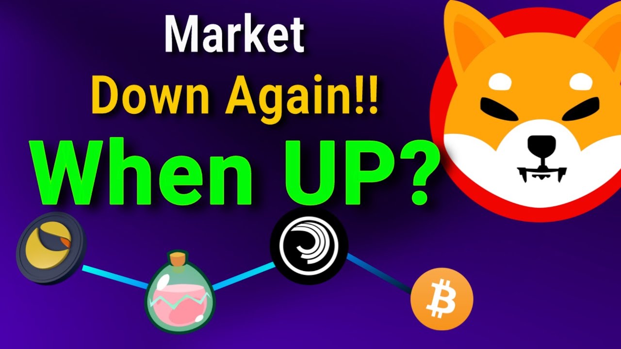 Will crypto Rise Again? | Crypto crash | Bitcoin crash | Shiba inu price | Crypto news