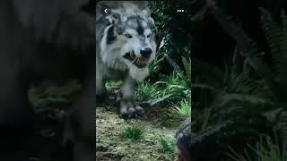 Dark Theme.... Hunting Wulf