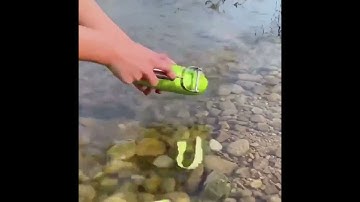 Nạo củ quả inox đa năng 2 in 1 chống han gỉ, dụng cụ nạo củ quả và bào sợi nhanh chóng #Shorts