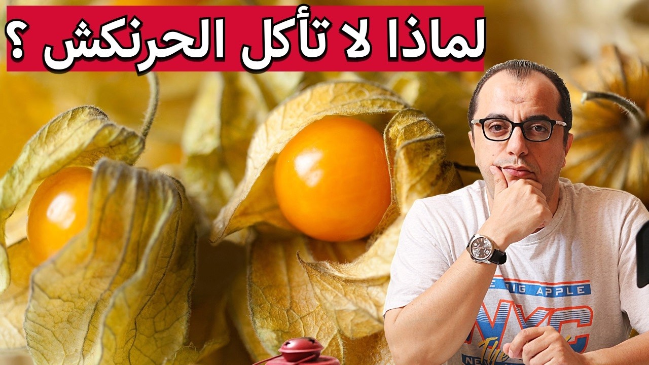 الحرنكش - فوائد واضرار الحرنكش - الحرنكش والسكر