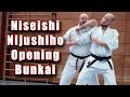 Practical Kata Bunkai: Niseishi / Nijushiho Opening Sequence