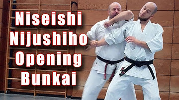 Practical Kata Bunkai: Niseishi / Nijushiho Opening Sequence