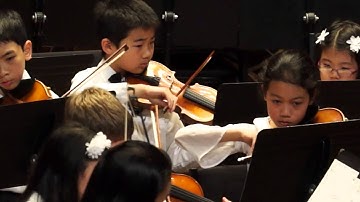 Primo Orchestra - Tchaikovsky (arr. Carrie Lane Gruselle) - Finale from Serenade for Strings