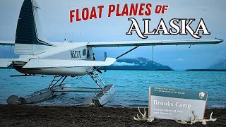 Why Alaska Float Planes NEVER Stop Flying Into Brooks Camp | Katmai National Park, Alaska
