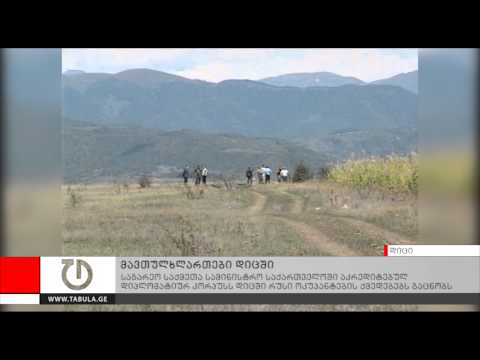 მავთულხლართები დიცში