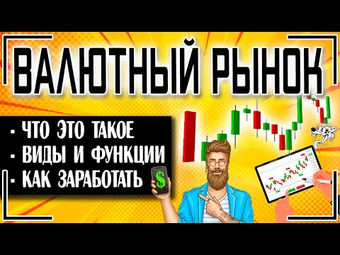 Валютный рынок: это что такое, каковы его функции и кто является участниками валютного рынка Форекс