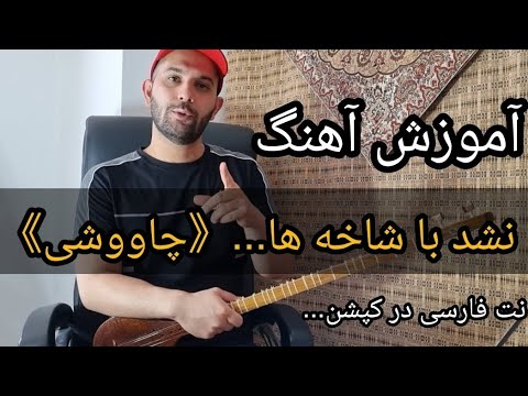 آموزش آهنگ نشد با شاخه ها به رسم یادگار محسن چاووشی توسط محمود نامور