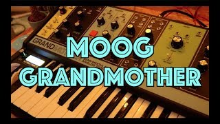 Moog Grandmother - How It Sounds