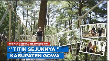 Wisata Virtual Tribuners #10 - Jauh-jauh ke Hutan Pinus Malino untuk Naik Kuda & Makan Jagung