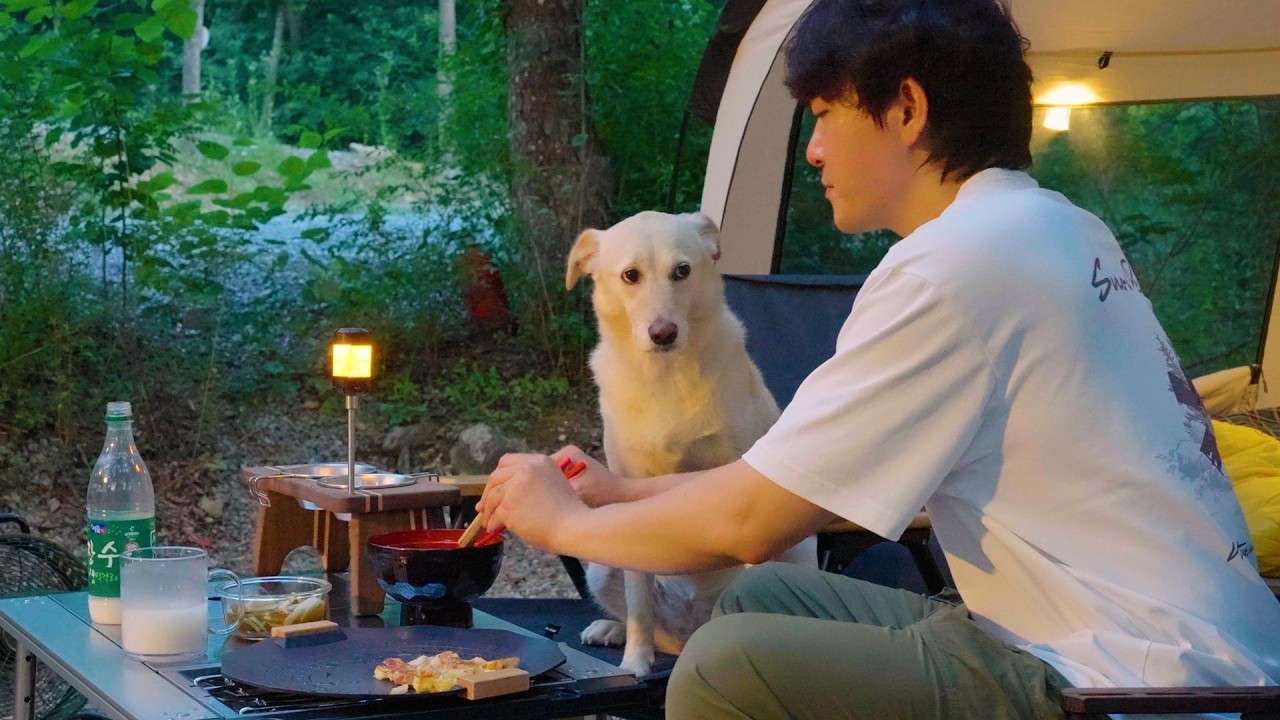 Что происходит, когда вы идете в поход с собакой? 🐕🔥 Забавные и уютные моменты